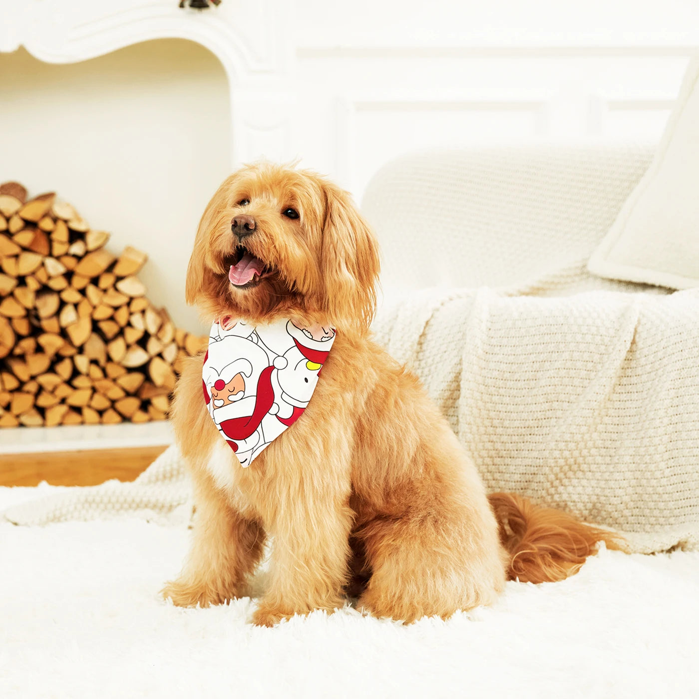 Merry Christmas Santa Print Pyjama Set